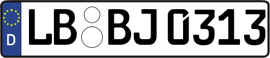 LB-BJ0313