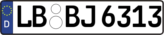 LB-BJ6313