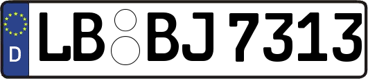 LB-BJ7313