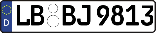 LB-BJ9813
