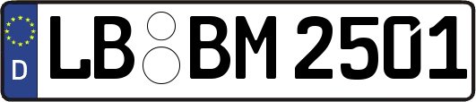 LB-BM2501