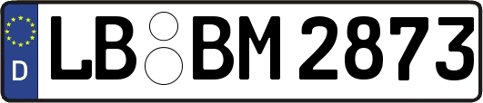 LB-BM2873