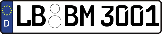 LB-BM3001