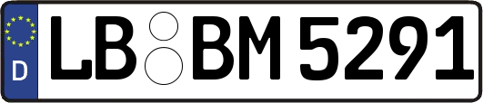 LB-BM5291