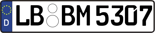 LB-BM5307