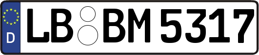 LB-BM5317