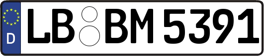 LB-BM5391
