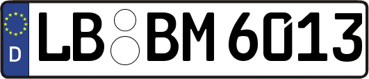 LB-BM6013