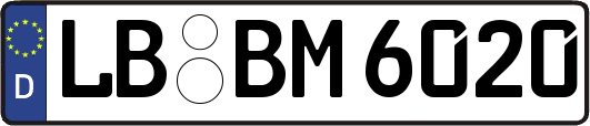 LB-BM6020
