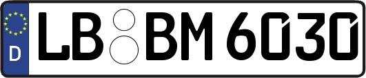 LB-BM6030