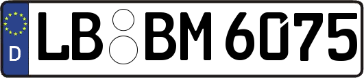 LB-BM6075