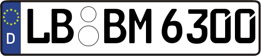 LB-BM6300