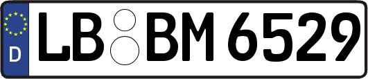 LB-BM6529