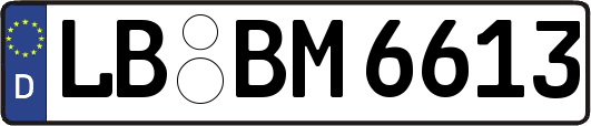 LB-BM6613