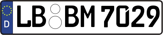LB-BM7029