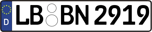 LB-BN2919