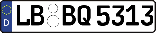 LB-BQ5313