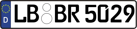 LB-BR5029