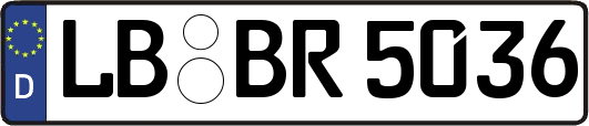 LB-BR5036