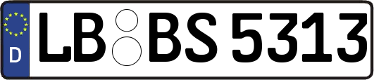 LB-BS5313