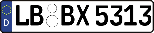 LB-BX5313