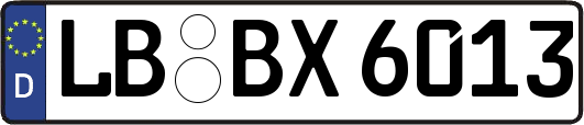 LB-BX6013