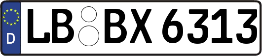 LB-BX6313