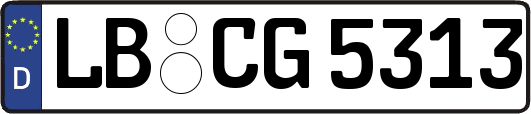LB-CG5313