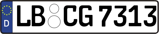 LB-CG7313