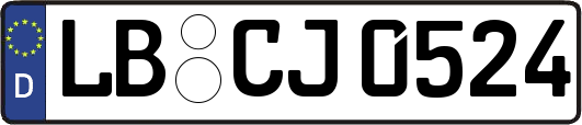 LB-CJ0524