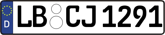 LB-CJ1291