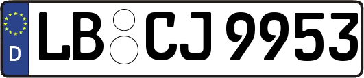 LB-CJ9953