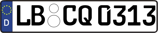 LB-CQ0313