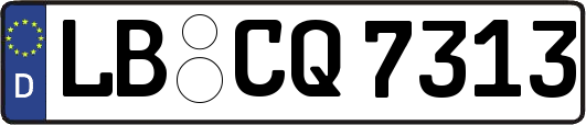 LB-CQ7313