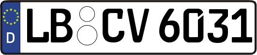 LB-CV6031