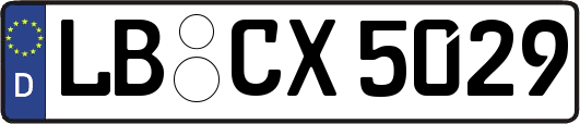 LB-CX5029