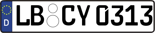 LB-CY0313