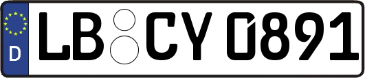 LB-CY0891