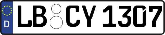 LB-CY1307