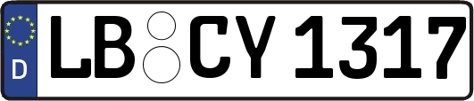LB-CY1317