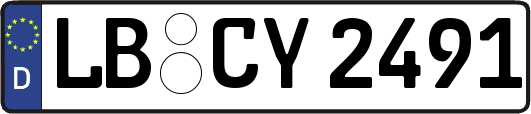 LB-CY2491