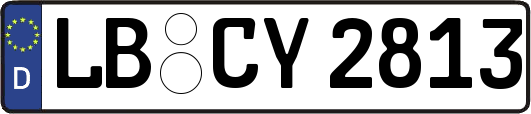 LB-CY2813