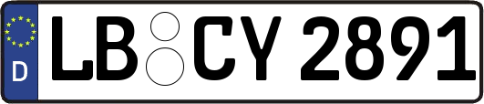LB-CY2891