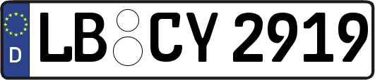 LB-CY2919