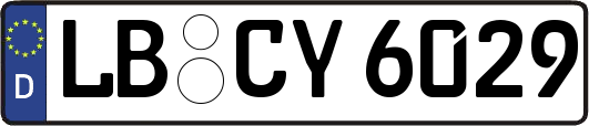 LB-CY6029