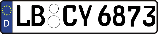 LB-CY6873