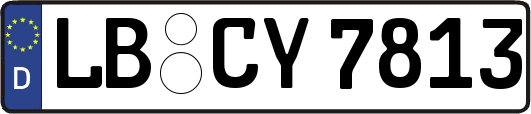 LB-CY7813