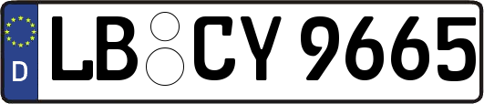 LB-CY9665