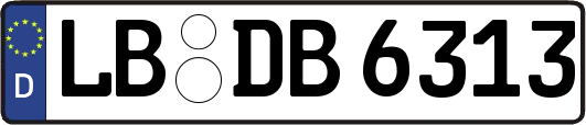 LB-DB6313