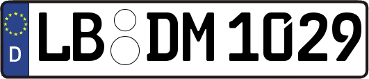 LB-DM1029